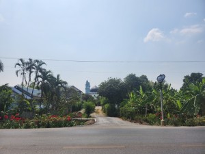 ที่ดิน ขาย ขายที่ดินหนองจอกเหมาะทำบ้านพักตากอากาศ ขายที่ดินหนองจอกเหมาะทำโรงแรมรีสอร์ท ที่ดินหนองจอกเหมาะทำPoolVilla ขายที่ดินหนองจอกเหมาะทำร้านอาหาร ขายที่ดินทำเลธุรกิจหลังตลาดหนองจอก