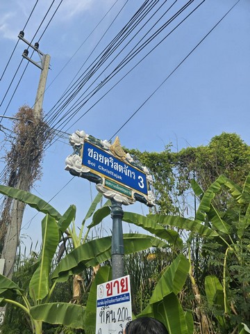 ขาย บ้านเดี่ยว Luxury-detached-house-for-sale, rightintheheartofSukhumvit บ้านเดี่ยวหรู2ชั้นพร้อมสระว่ายน้ำสุขุมวิท Luxury-detached-house-for-sale, in-Sukhumvit71,SoiPridiBanomyong26