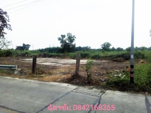 ขาย ที่ดิน เหมาะจัดสรรแบ่งขาย, ขายถูก โครงการเชิงพาณิชย์ เหมาะทำหมู่บ้านจัดสรร ที่ดินธัญบุรีคลอง6,หรือปทุมธานี