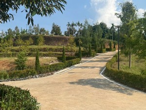 ที่ดิน ขาย CheaperthanOthersbyMillions- Durian-Farm-Investment-Chanthaburi- ลงทุนทุนสวนเรียน-จันทบุรี-รับรายได้ทันทีจากผลผลิต 泰国尖竹汶府榴莲果园投资立即 泰国榴莲果园投资